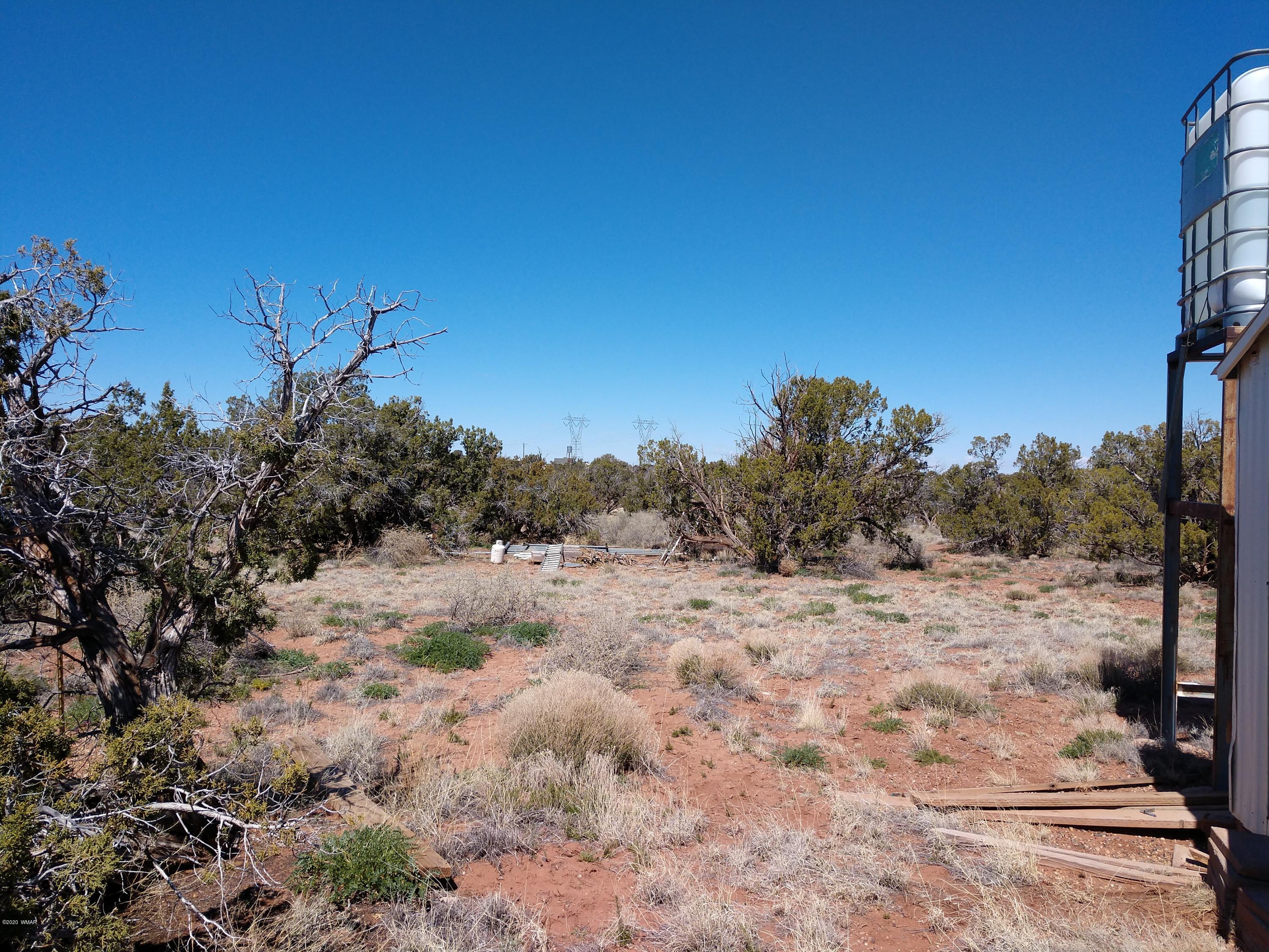 5245 Hay Hollow Road Snowflake, AZ 85937 - Photo 5 of 42