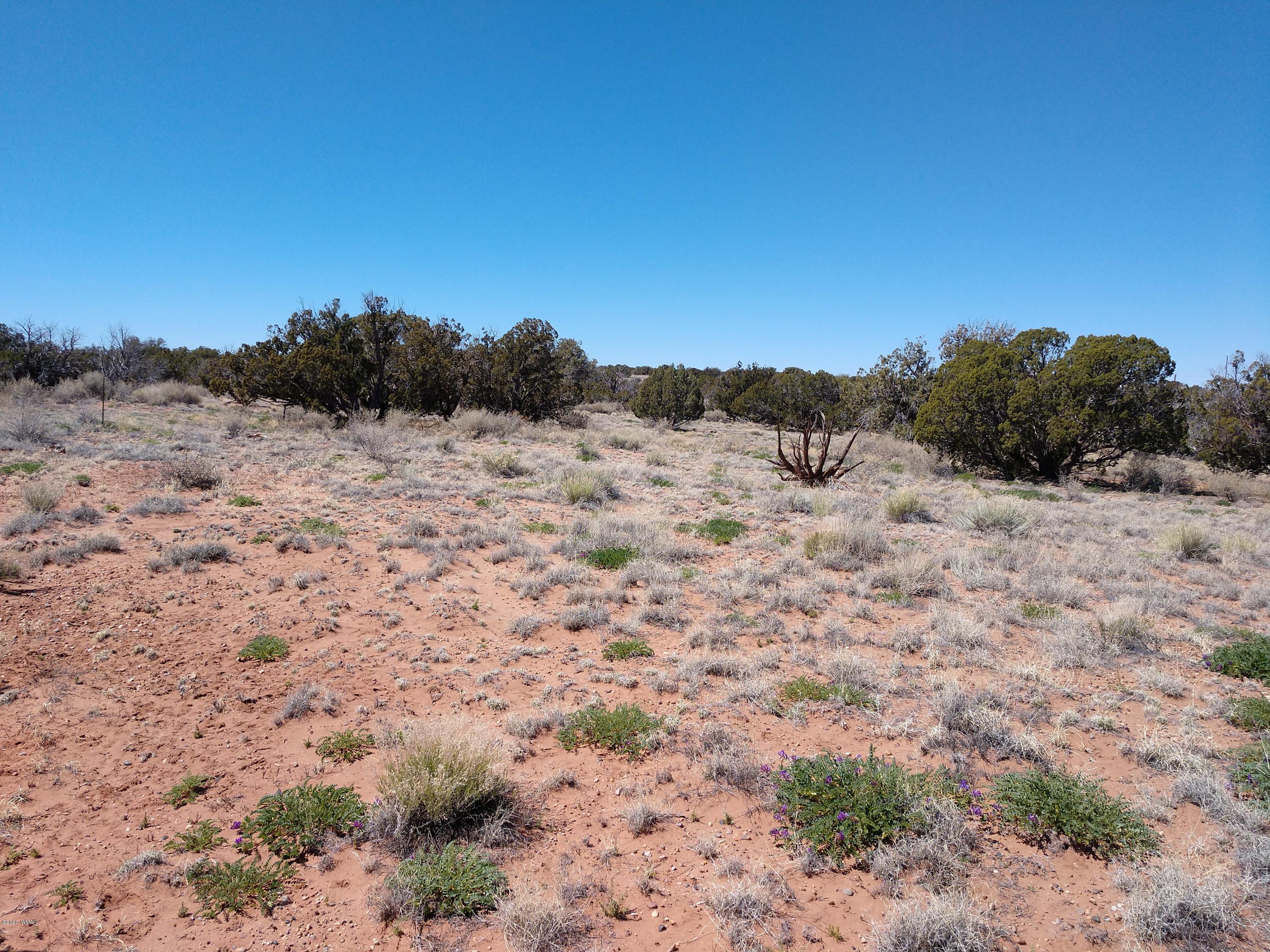 5245 Hay Hollow Road Snowflake, AZ 85937 - Photo 6 of 42