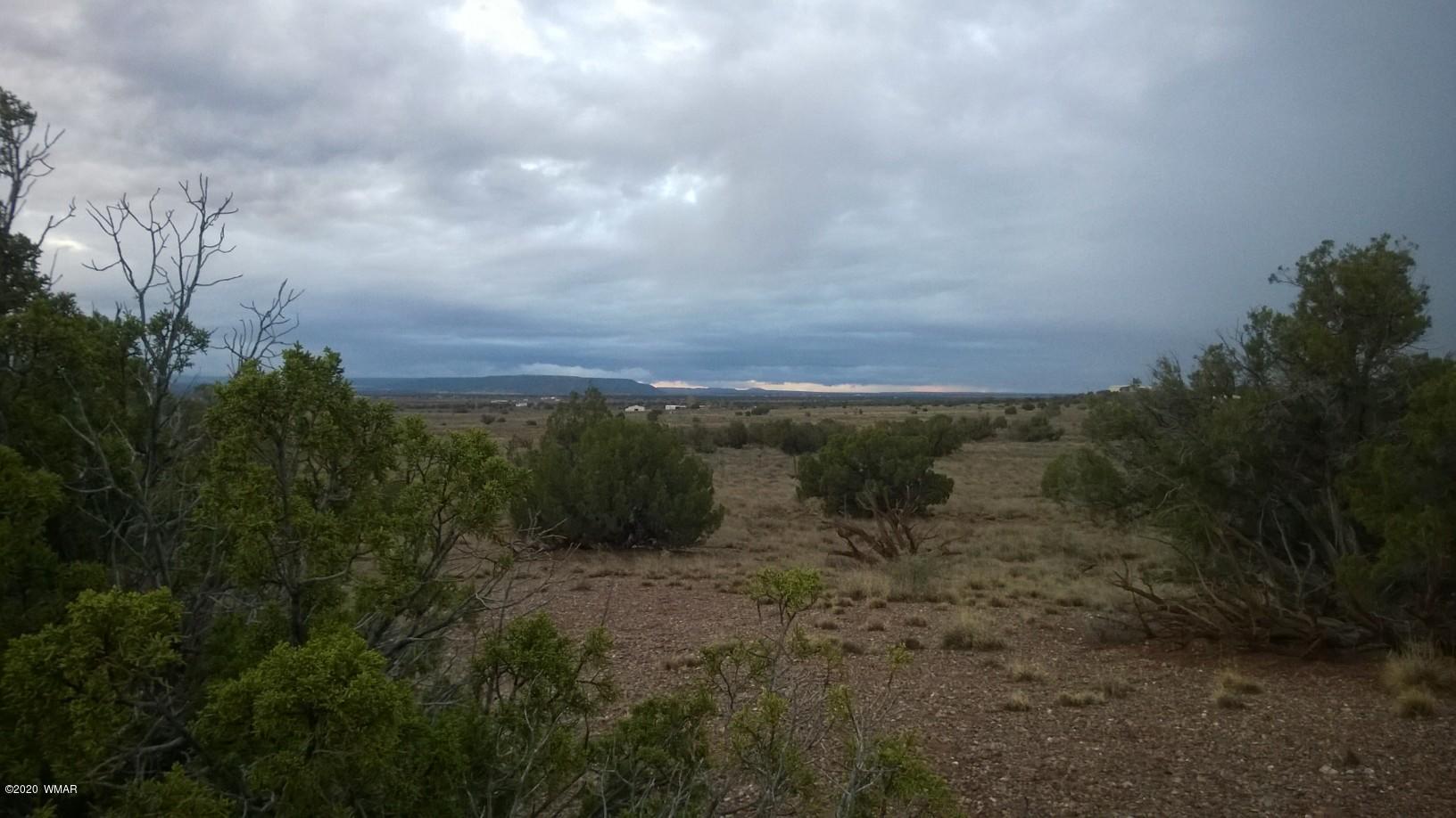 5245 Hay Hollow Road Snowflake, AZ 85937 - Photo 8 of 42
