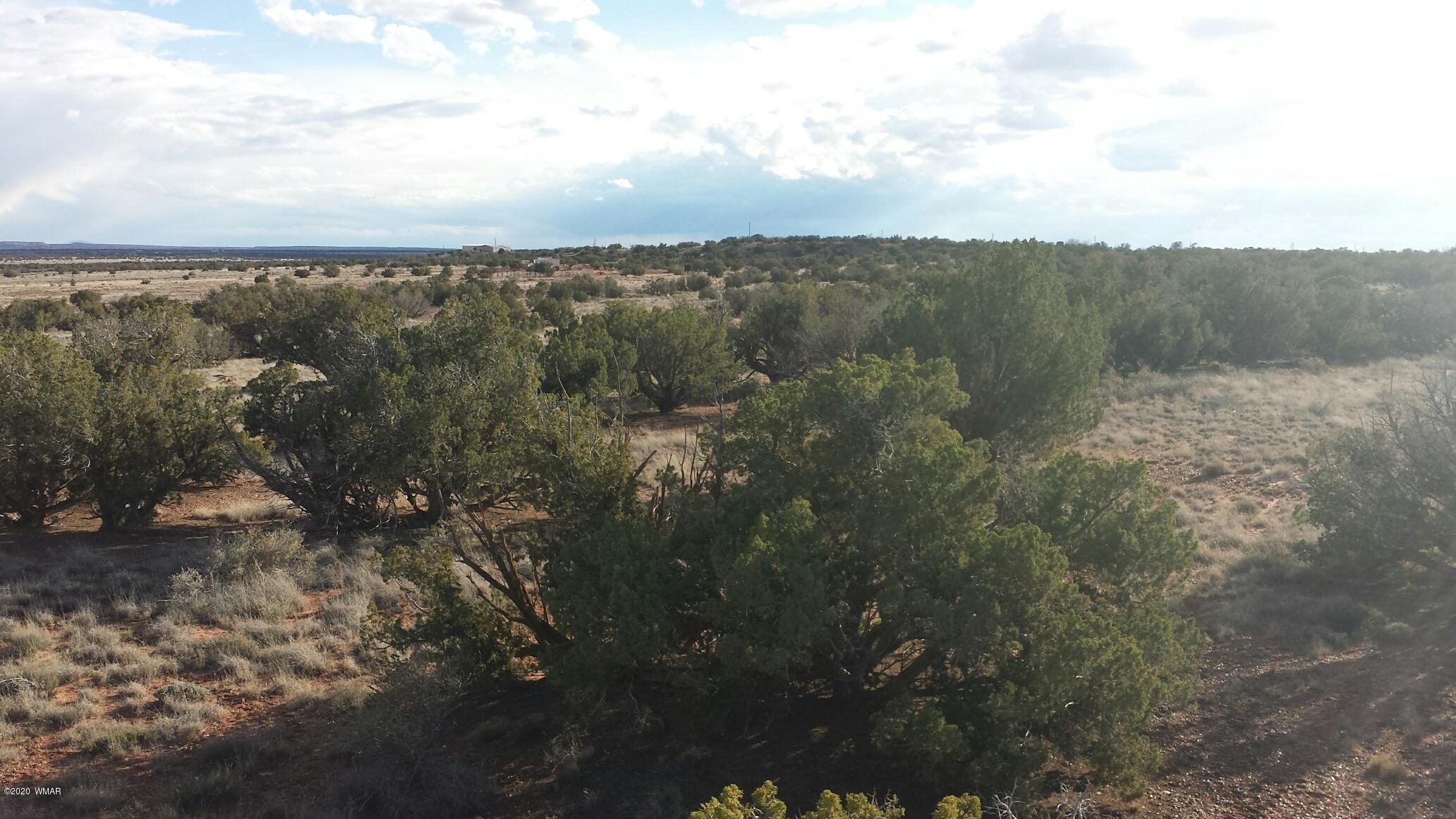 5245 Hay Hollow Road Snowflake, AZ 85937 - Photo 9 of 42
