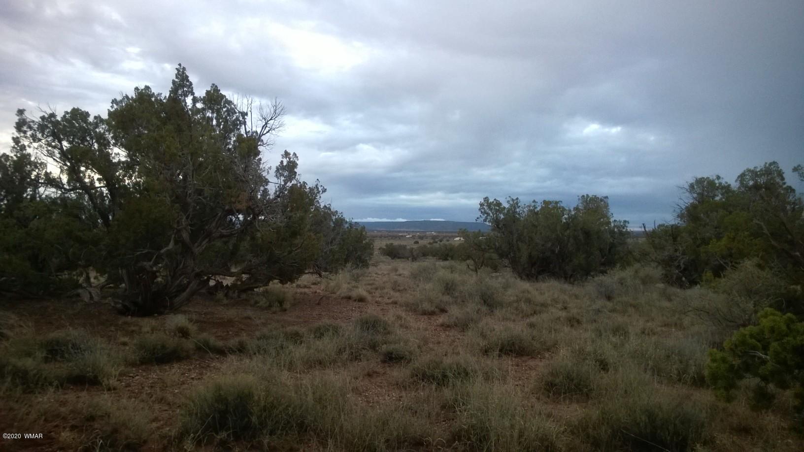 5245 Hay Hollow Road Snowflake, AZ 85937 - Photo 10 of 42