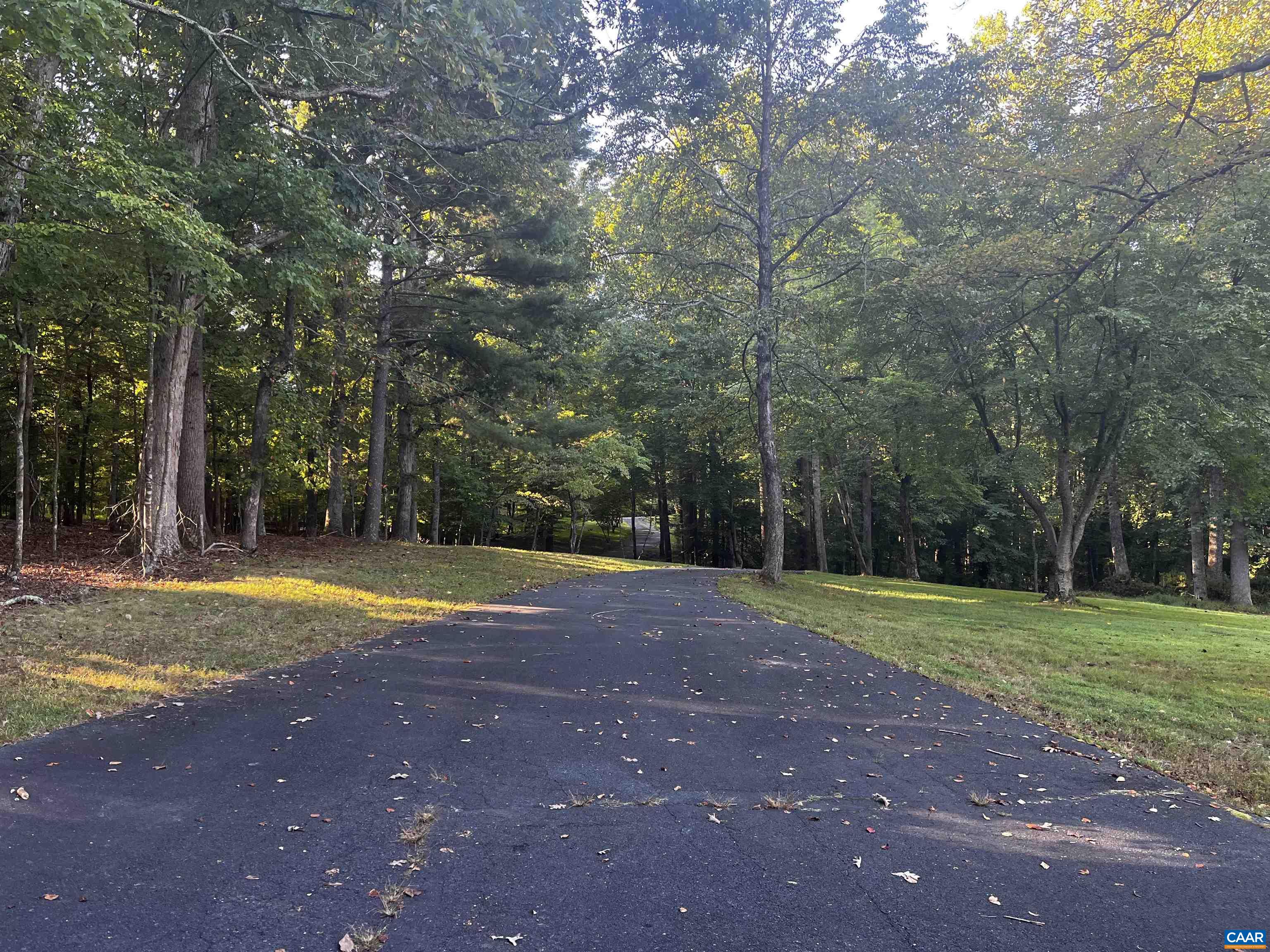 2482 Schelford Farm Road Charlottesville, VA 22901 - Photo 32 of 39 a view of a tennis ground with large trees