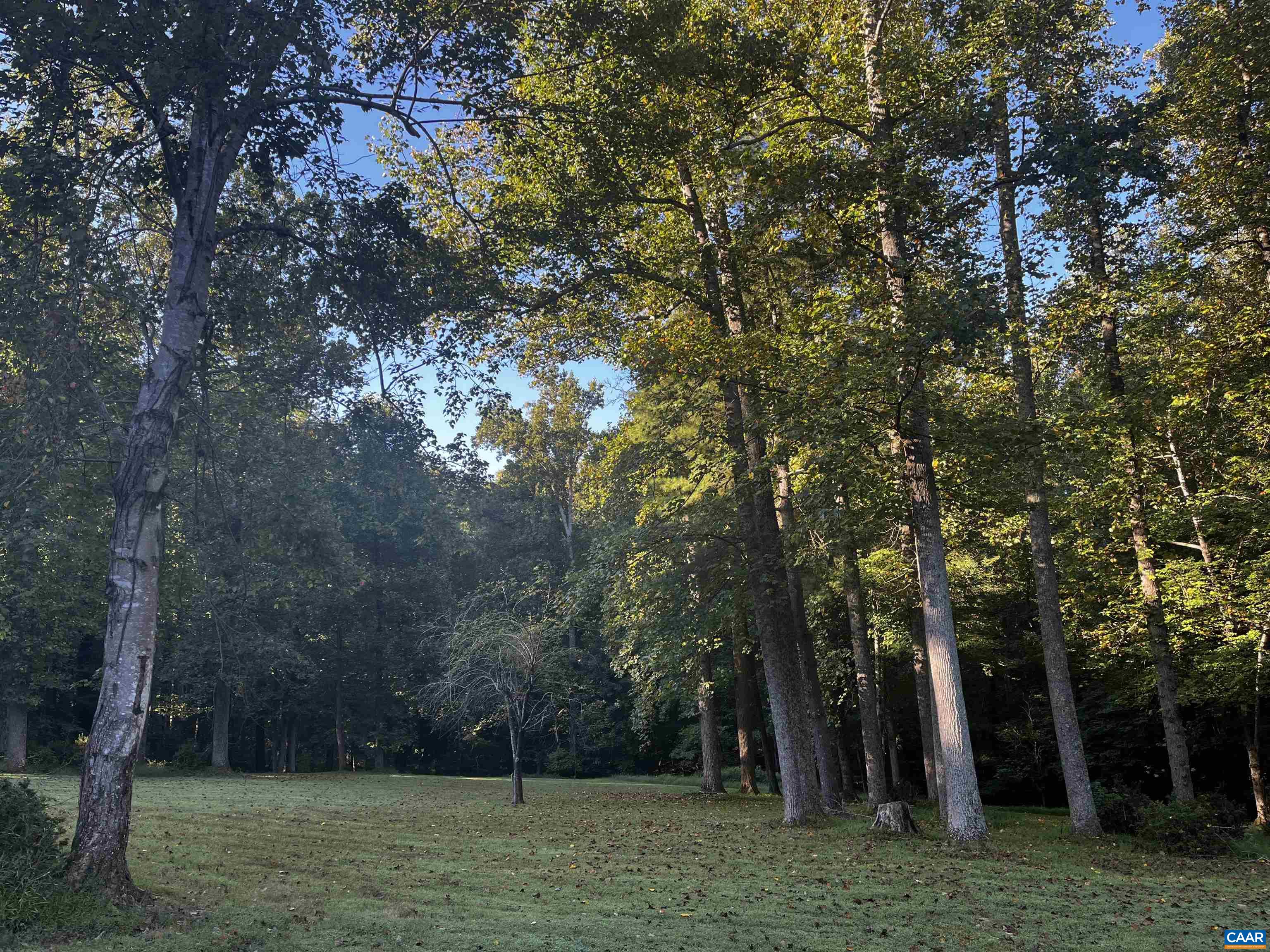 2482 Schelford Farm Road Charlottesville, VA 22901 - Photo 33 of 39 a view of a park with large trees