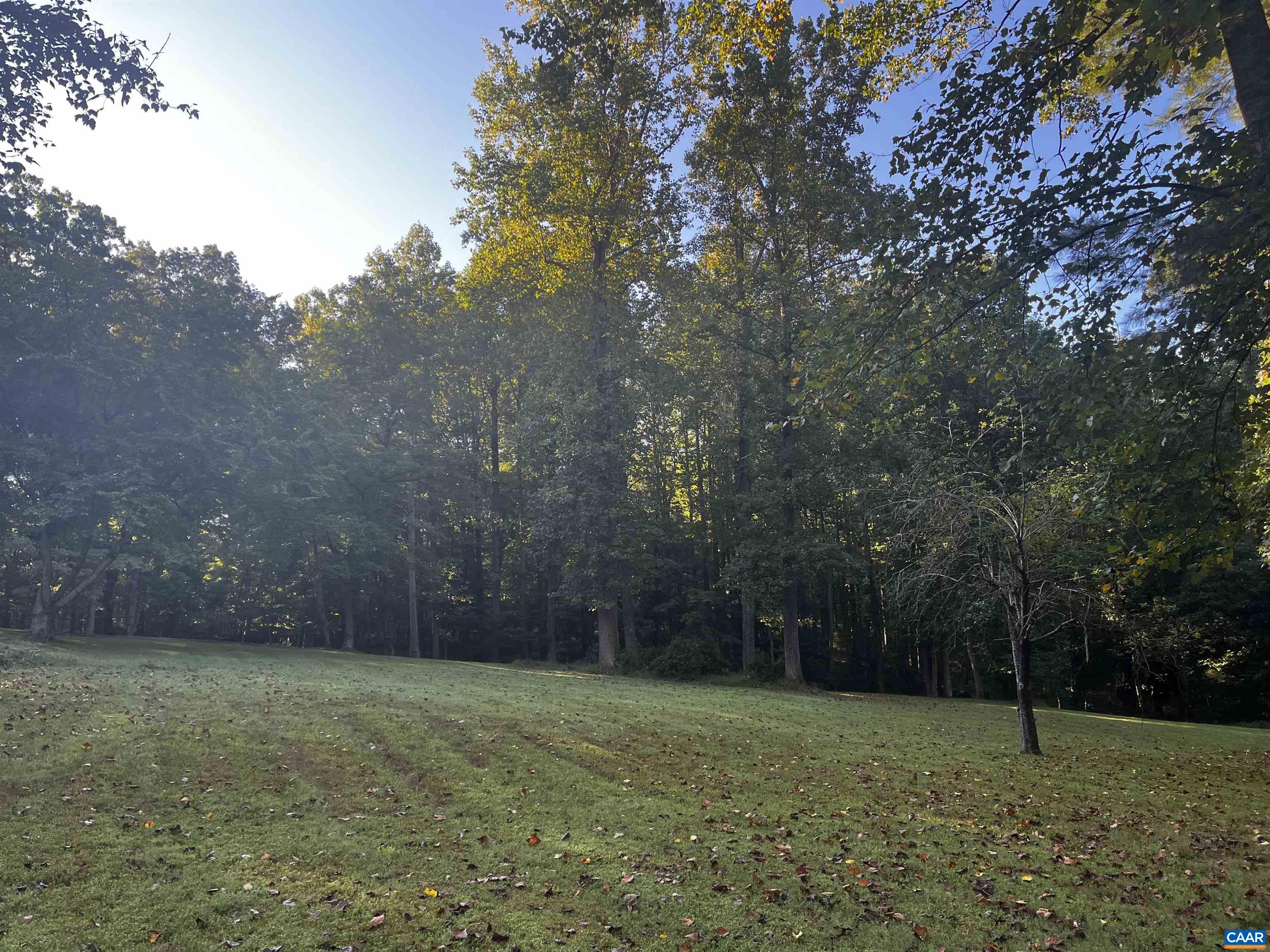 2482 Schelford Farm Road Charlottesville, VA 22901 - Photo 34 of 39 a backyard of a house with lots of green space