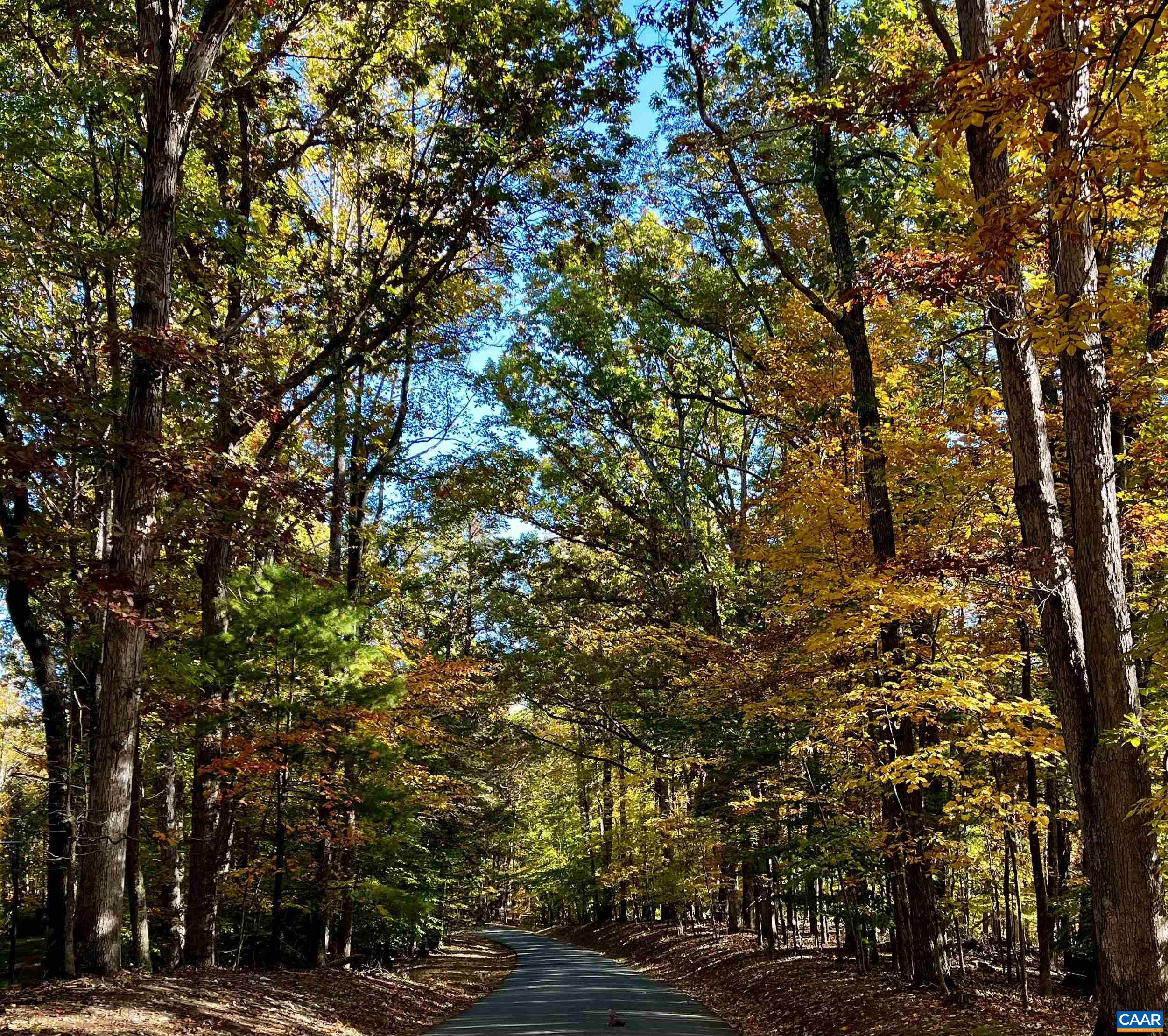 2482 Schelford Farm Road Charlottesville, VA 22901 - Photo 37 of 39 a view of road with trees