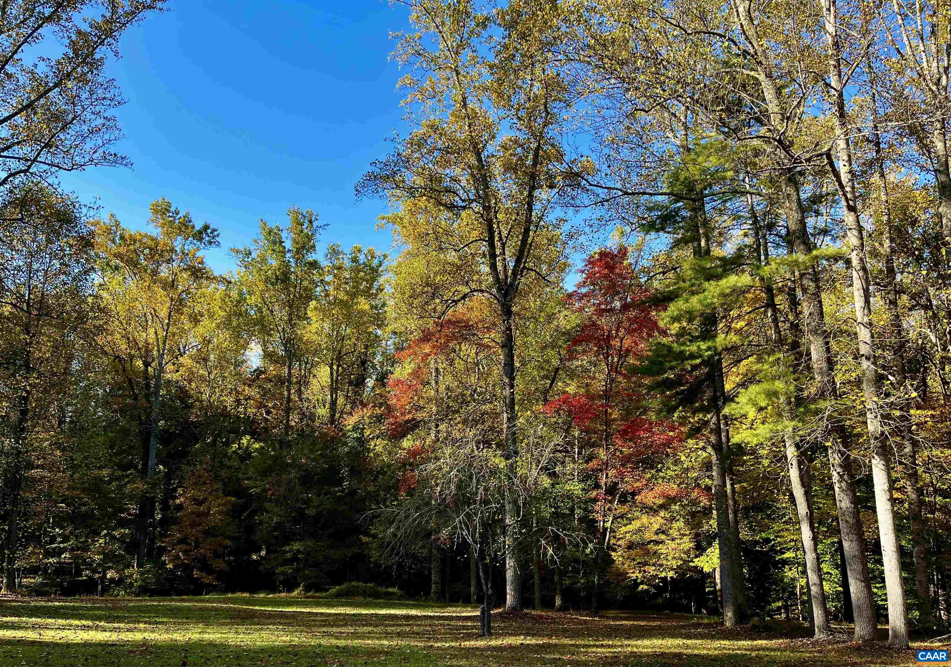 2482 Schelford Farm Road Charlottesville, VA 22901 - Photo 38 of 39 a view of a yard