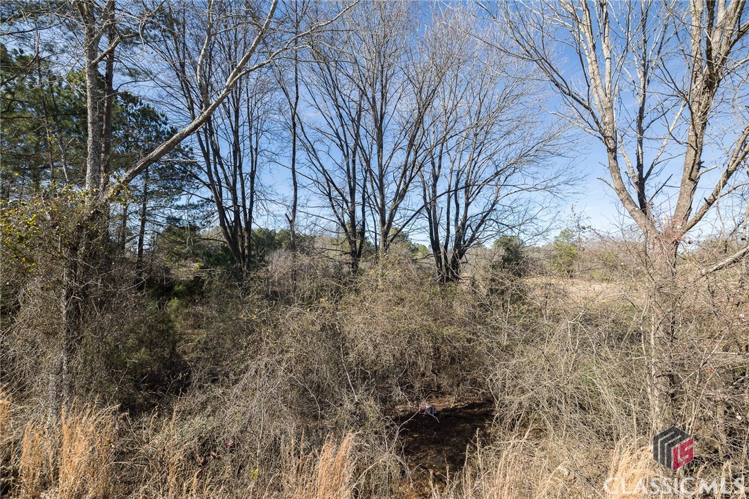 Tract5 A B Martin Road Good Hope, GA 30641 - Photo 17 of 21