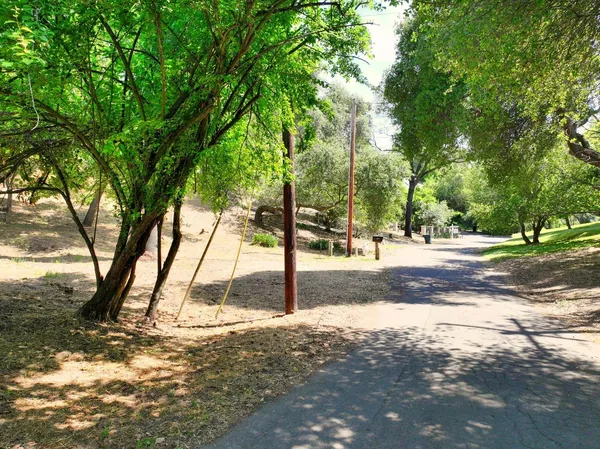 a view of road with trees
