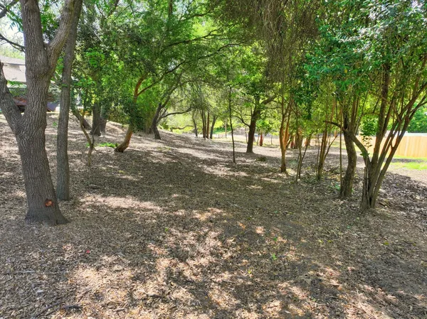 a view of outdoor space and trees