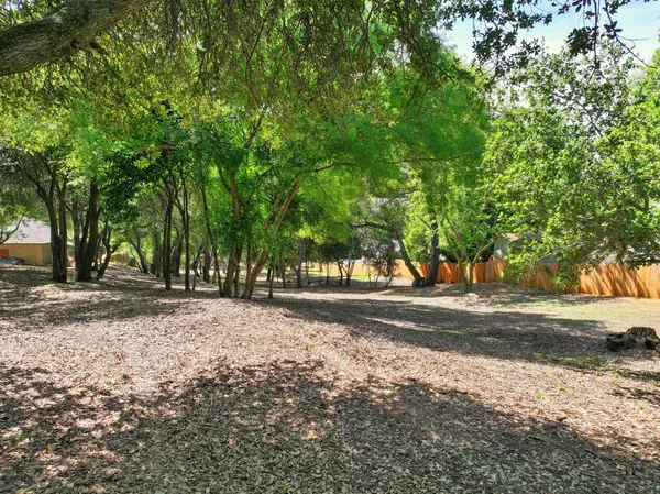 a view of a tree in front of a house