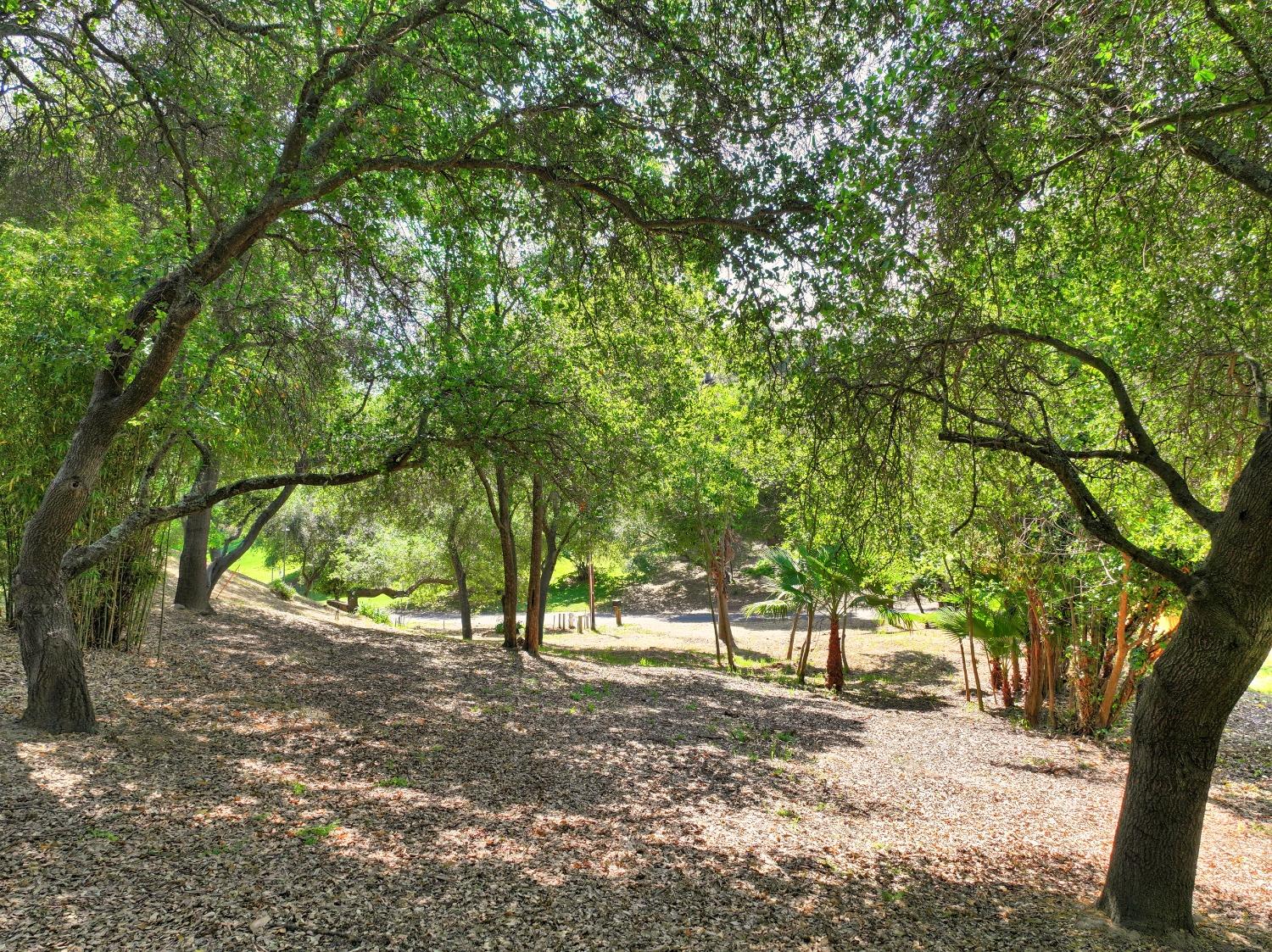 0 Ridge Street Fair Oaks, CA 95628 - Photo 20 of 35 a view of outdoor space and yard