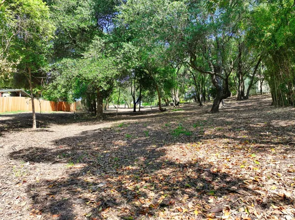 a view of outdoor space with trees