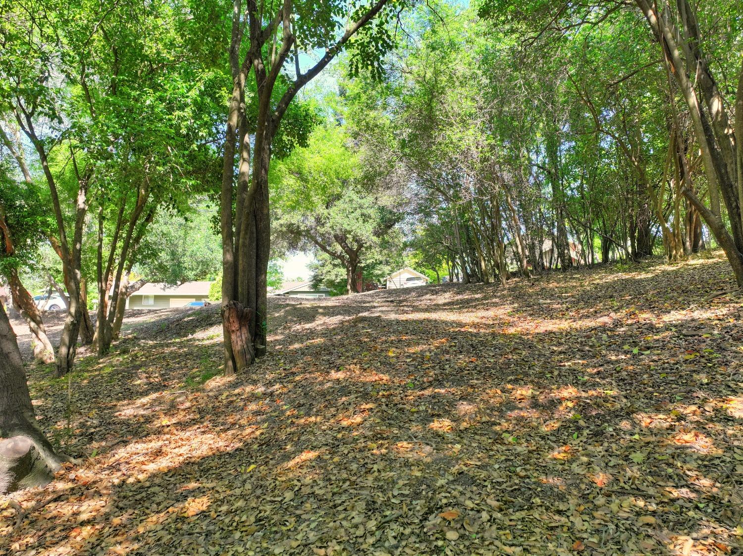 0 Ridge Street Fair Oaks, CA 95628 - Photo 28 of 35 a view of a yard with a tree