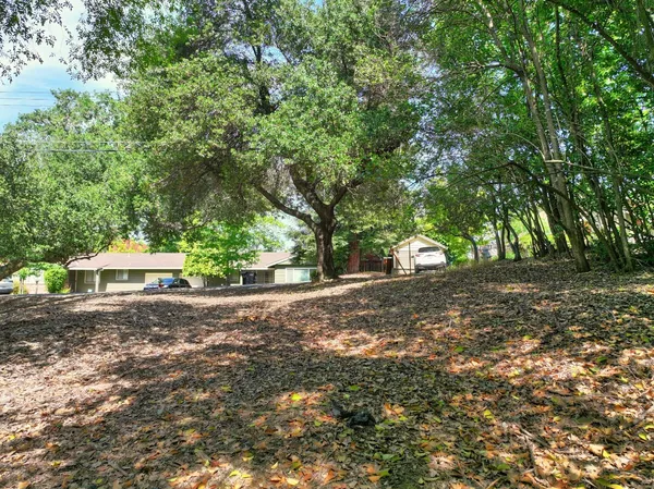 a view of outdoor space and yard