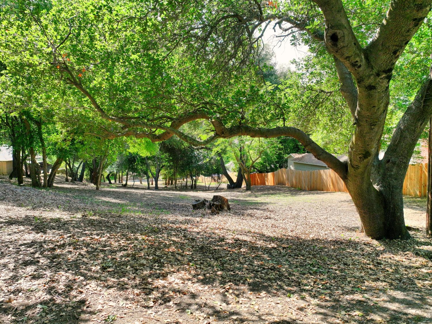 0 Ridge Street Fair Oaks, CA 95628 - Photo 5 of 35 a view of a yard with a tree