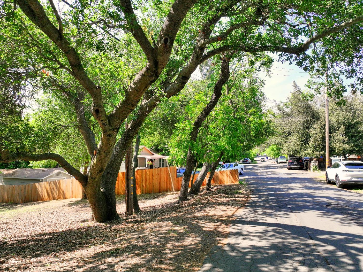 0 Ridge Street Fair Oaks, CA 95628 - Photo 6 of 35 a view of a road with large trees