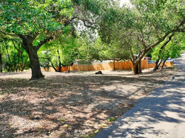 a view of outdoor space with trees