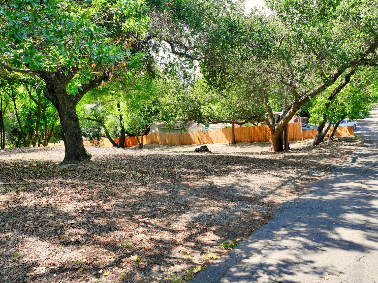 0 Ridge Street Fair Oaks, CA 95628 - Photo 8 of 35 a view of outdoor space with trees
