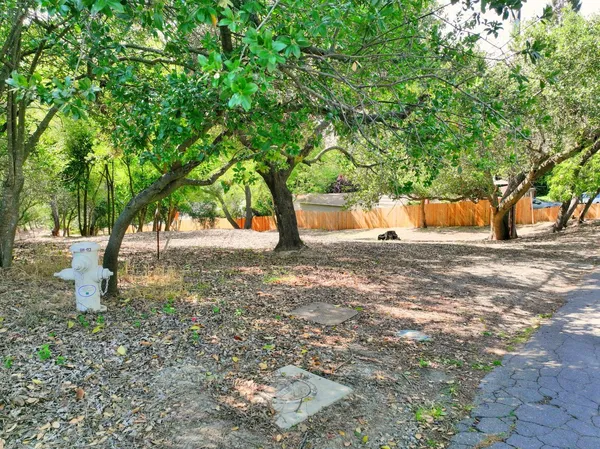 a view of outdoor space with trees