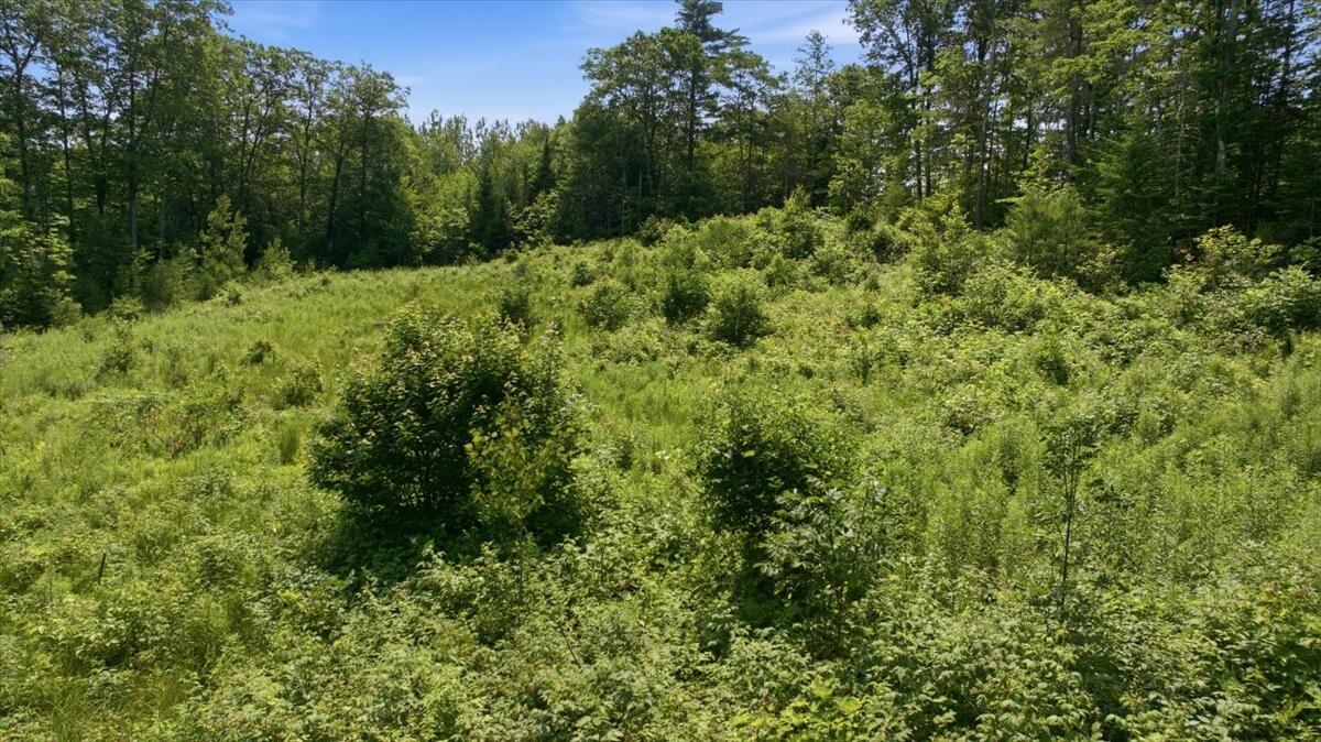273 Wiley Road Greene, ME 04236 - Photo 14 of 21 Lot from Road