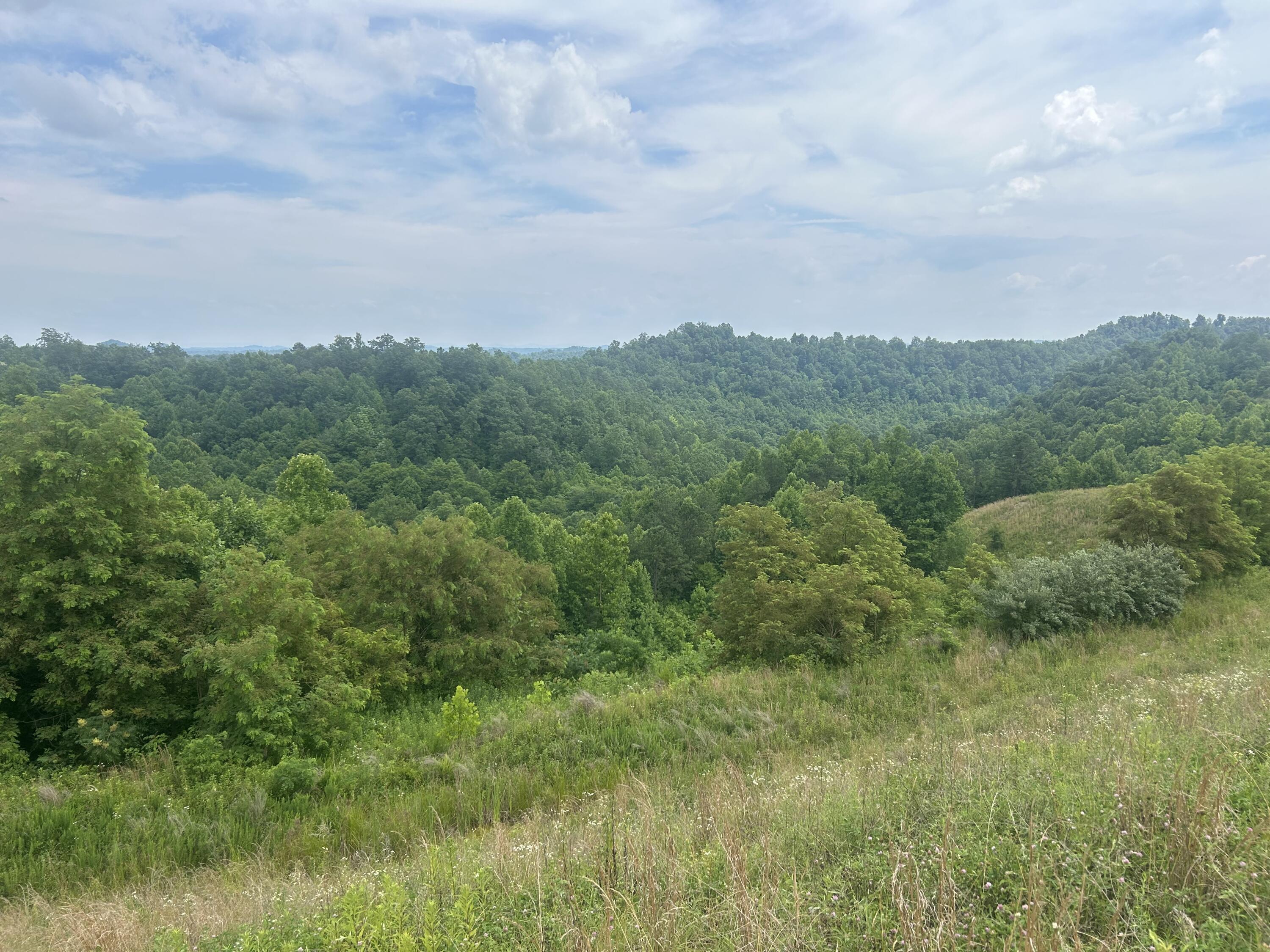 9999 Lewis Creek Road Hyden, KY 41749 - Photo 1 of 10 Deathrage6