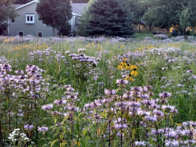 47W195 Main Street Road Maple Park, IL 60151 - Photo 23 of 25 a street view