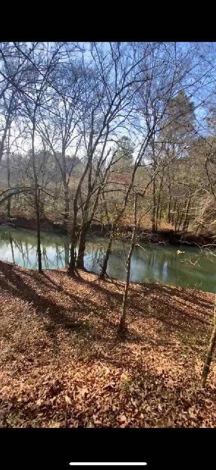 733 Athens Road Calhoun, TN 37309 - Photo 14 of 15 Gallery Image 14