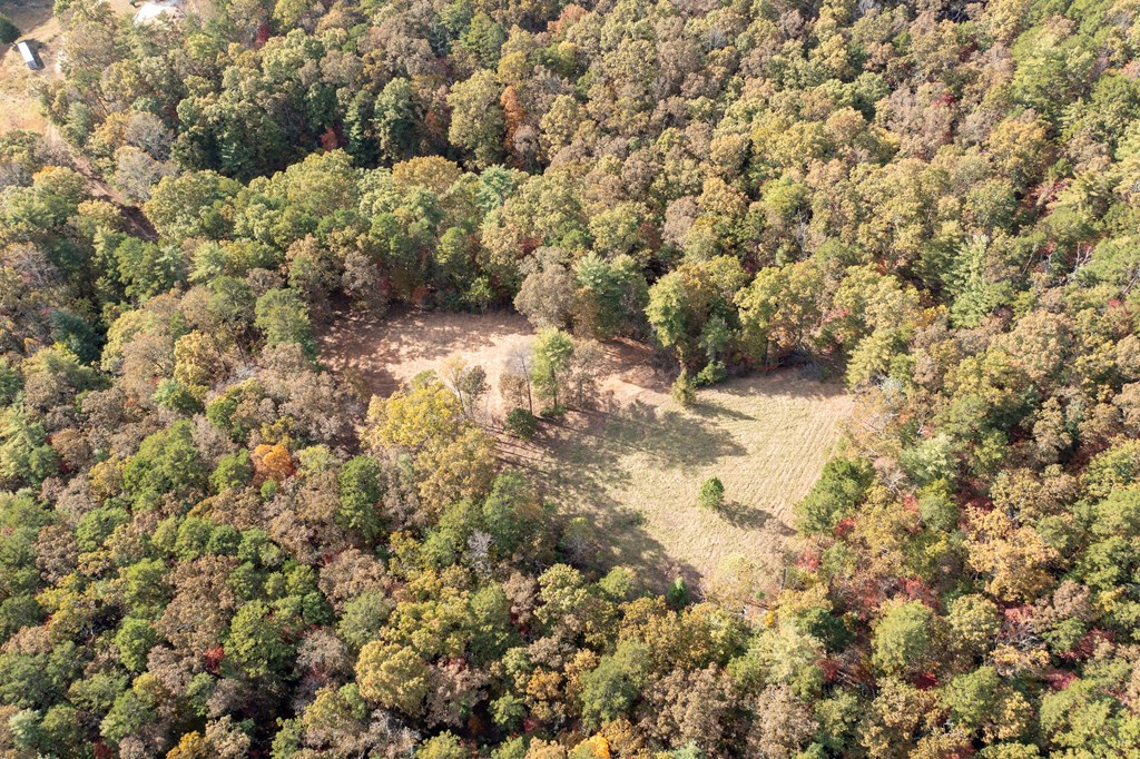 300 Springbrook Lane Murphy, NC 28906 - Photo 9 of 39 Gallery Image 9