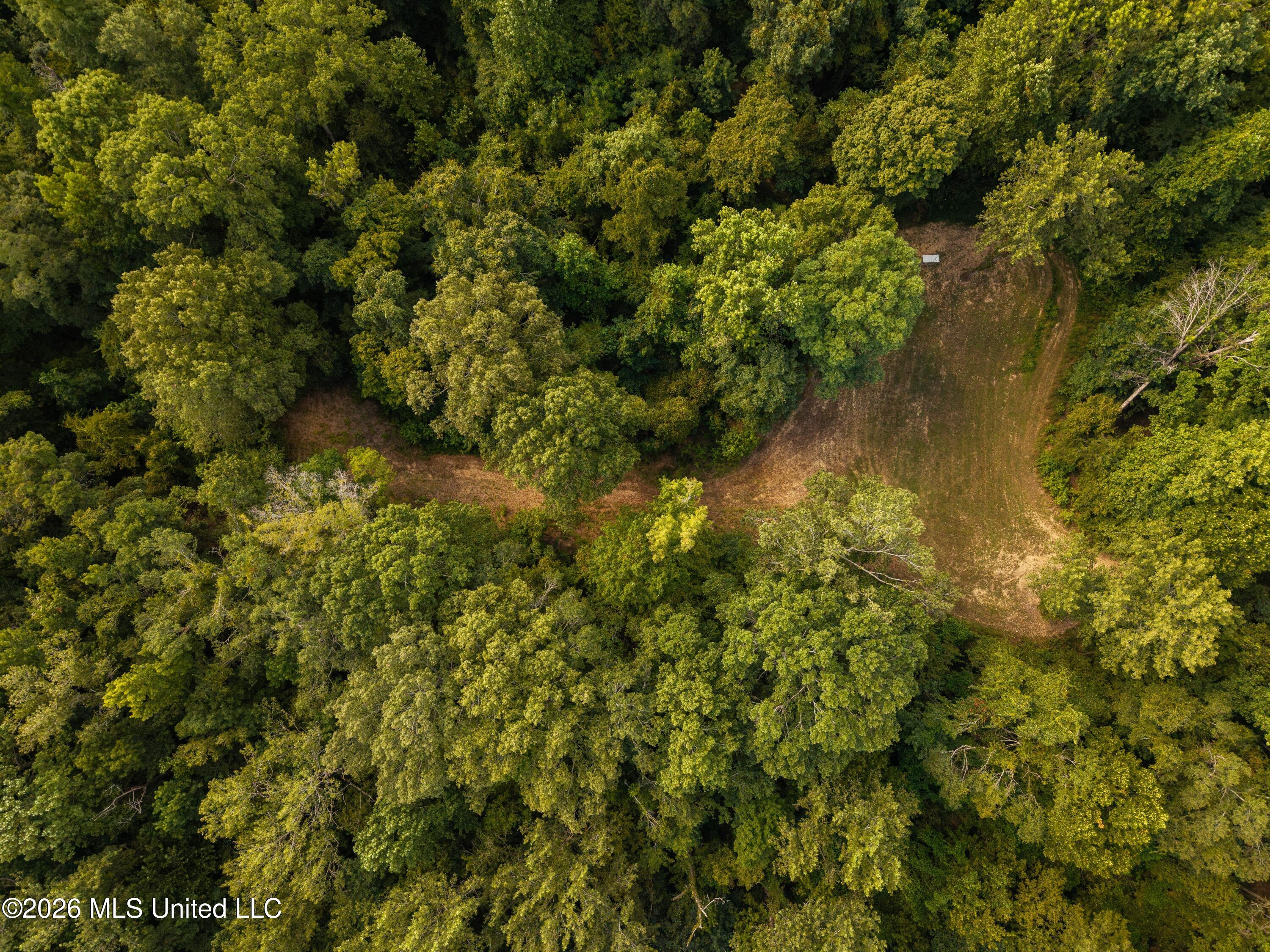 Myrleville Road Yazoo City, MS 39194 - Photo 37 of 39 DJI_20260811102254_0003_D