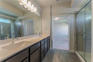 15107 Ryman Road Pflugerville, TX 78660 - Photo 8 of 34 a bathroom with a double vanity sink and a mirror