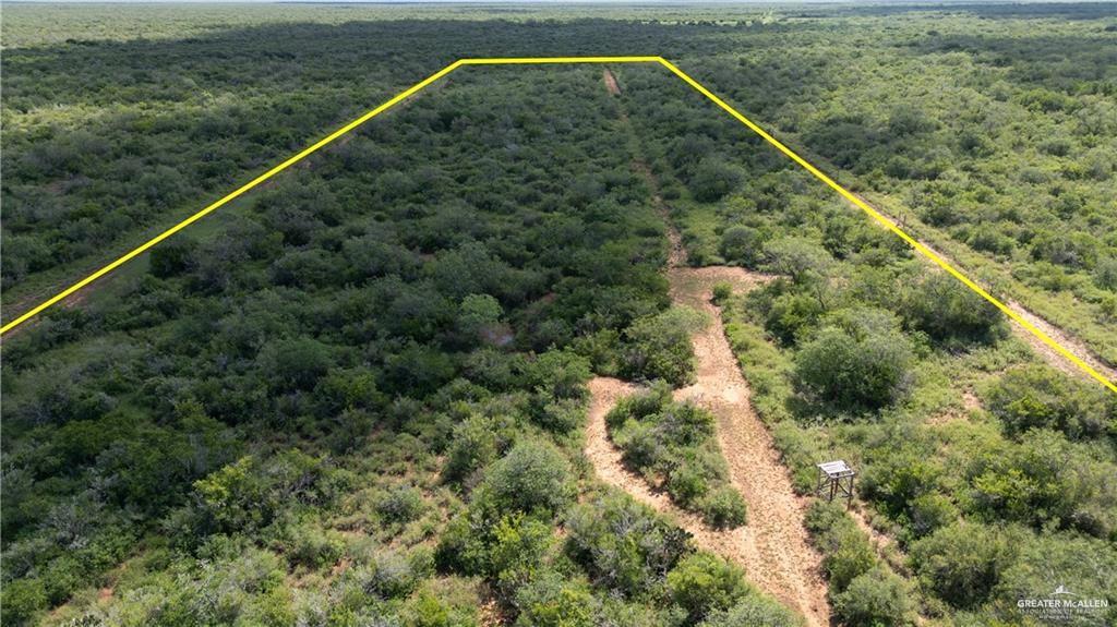 220 Delmita Road Delmita, TX 78536 - Photo 3 of 30