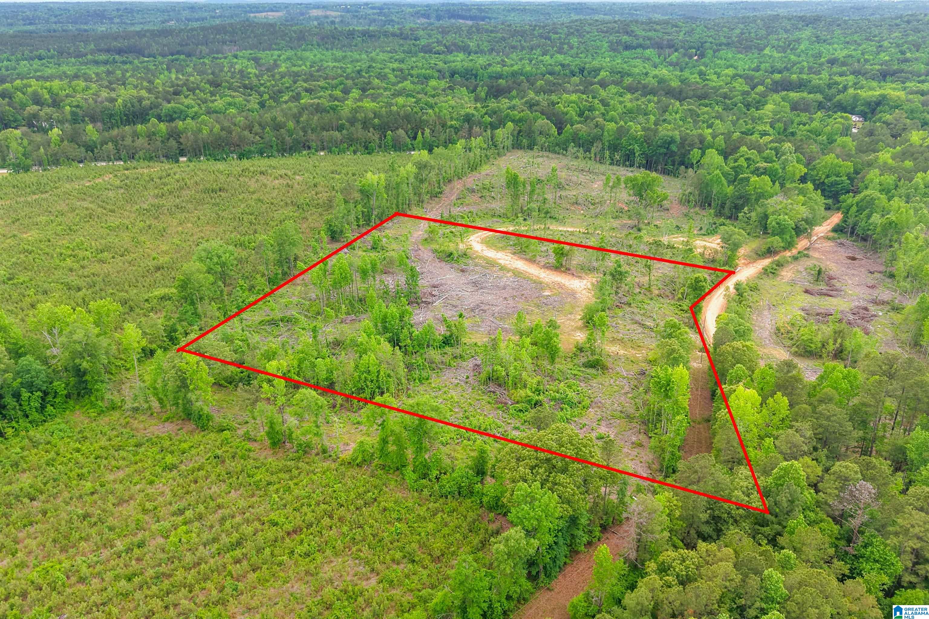 Active Road, Unit 5 Lawley, AL 36793 - Photo 5 of 38