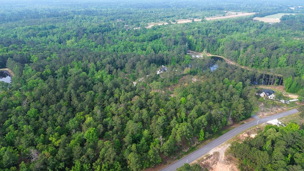 0 Mt Zion Road, Unit 5 Trenton, SC 29847 - Photo 13 of 26