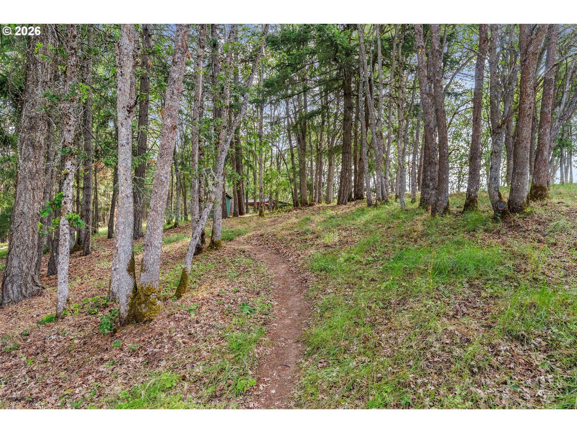 24 Meadows Loop Lyle, WA 98635 - Photo 17 of 25