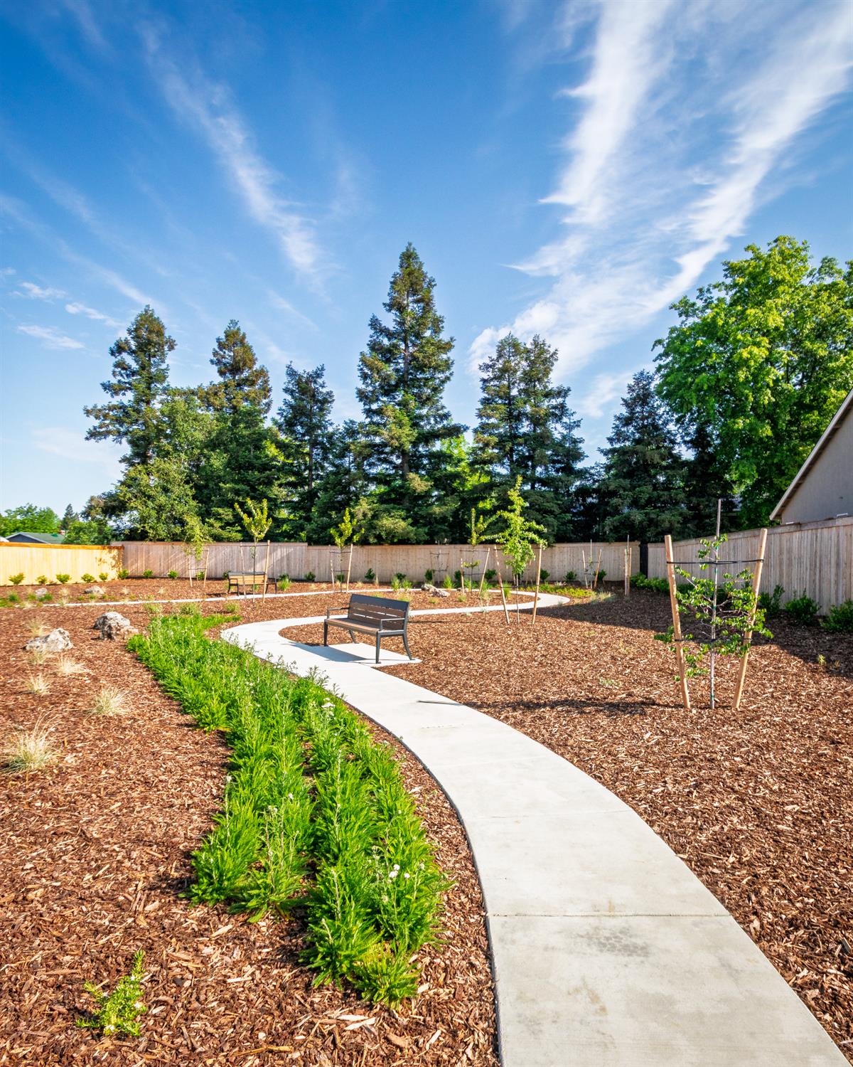 4023 Porton Lane Carmichael, CA 95608 - Photo 5 of 8 a view of a swimming pool with a yard