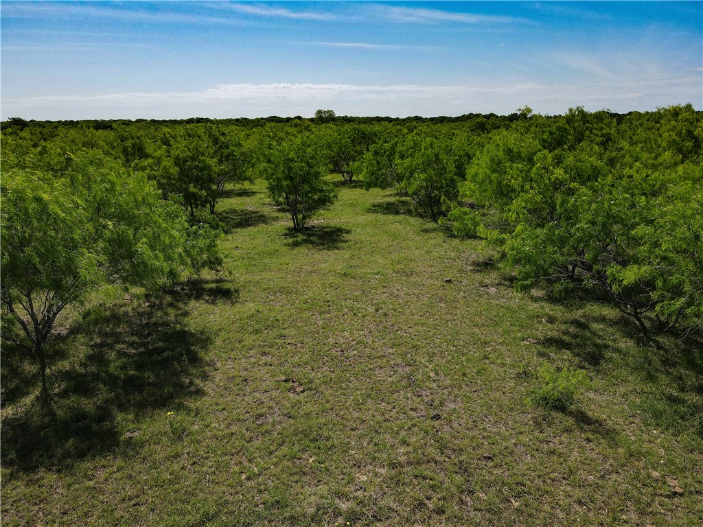 0 Cr 4120 Road Dawson, TX 76639 - Photo 5 of 11 a view of a lush green forest with houses