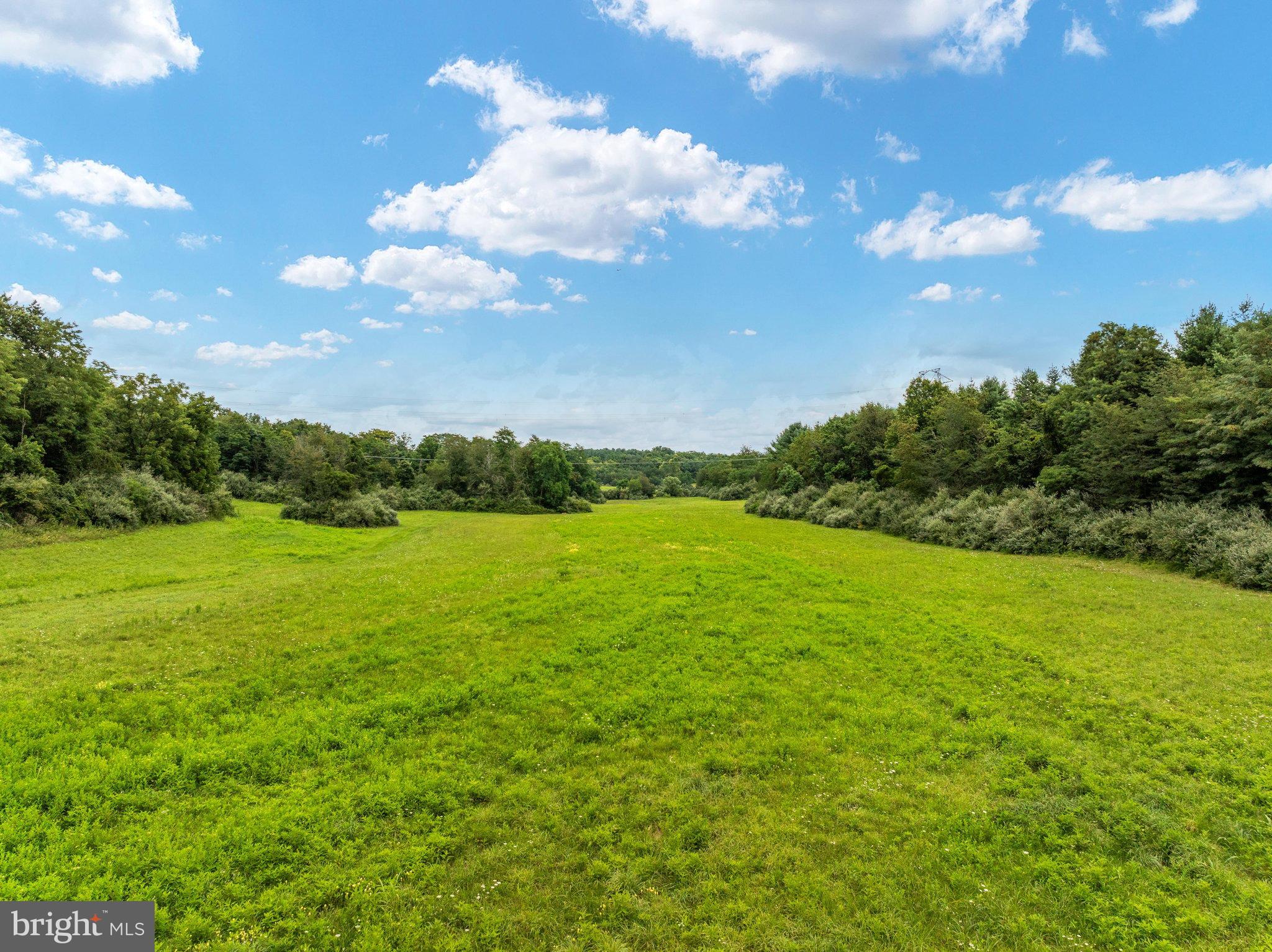 Lot 15 Rest Church Road Clear Brook, VA 22624 - Photo 17 of 29 Lush green meadow under a bright blue sky.