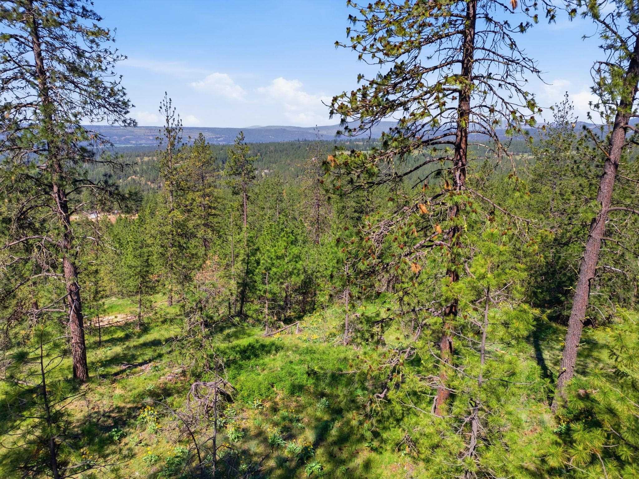 Nka Weaver Road, Unit LOT D Deer Park, WA 99006 - Photo 2 of 20