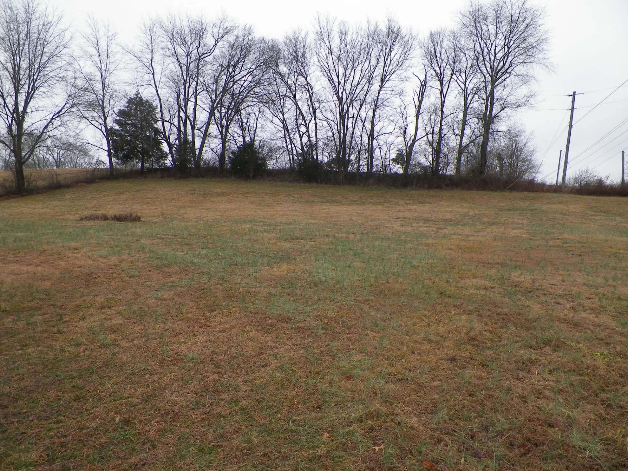 108 Rogues Fork Road Bethpage, TN 37022 - Photo 3 of 7