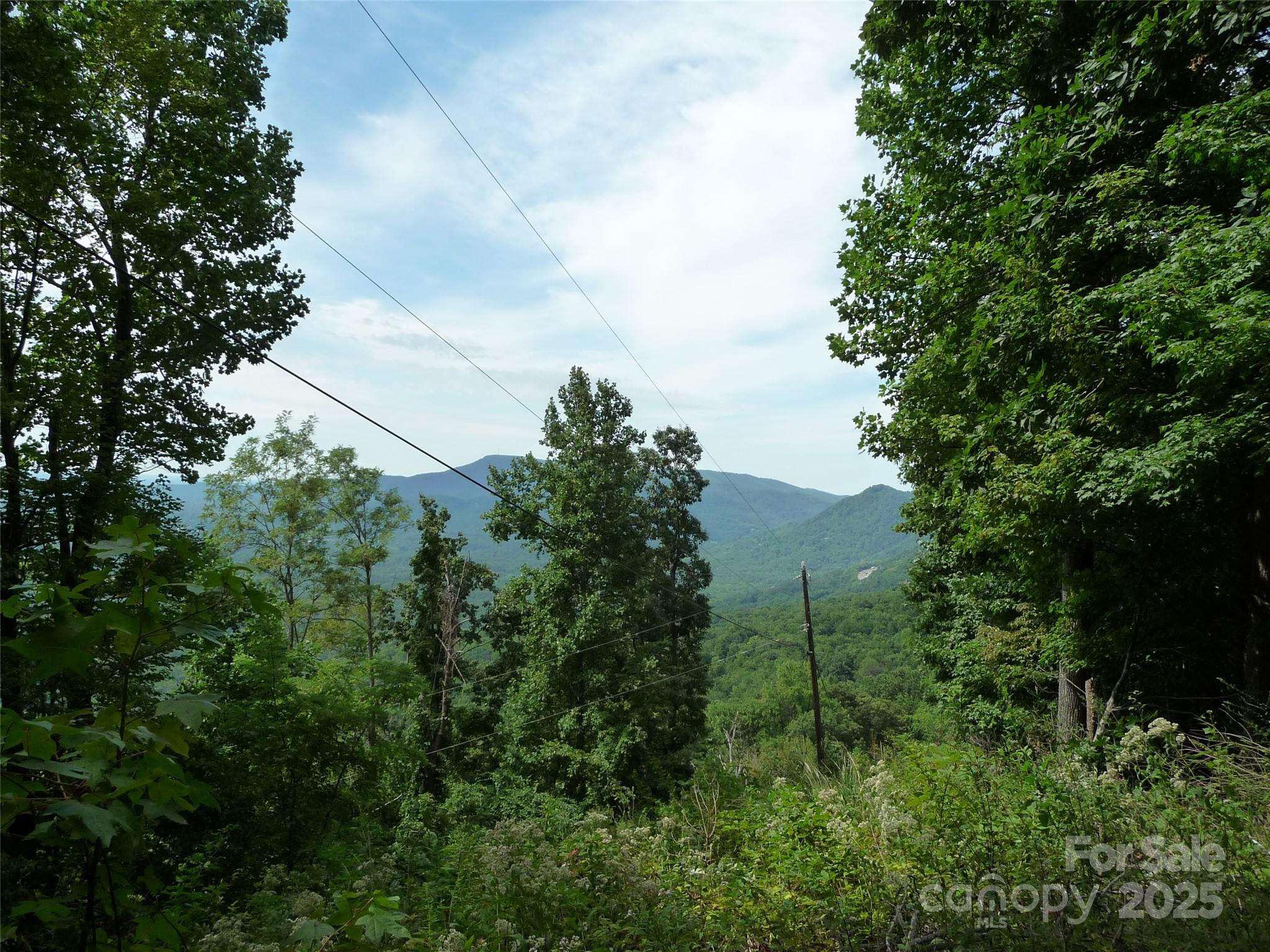 999 Skyuka Mountain Road, Unit LOT 9 Columbus, NC 28722 - Photo 2 of 7 a view of a green field with lots of bushes