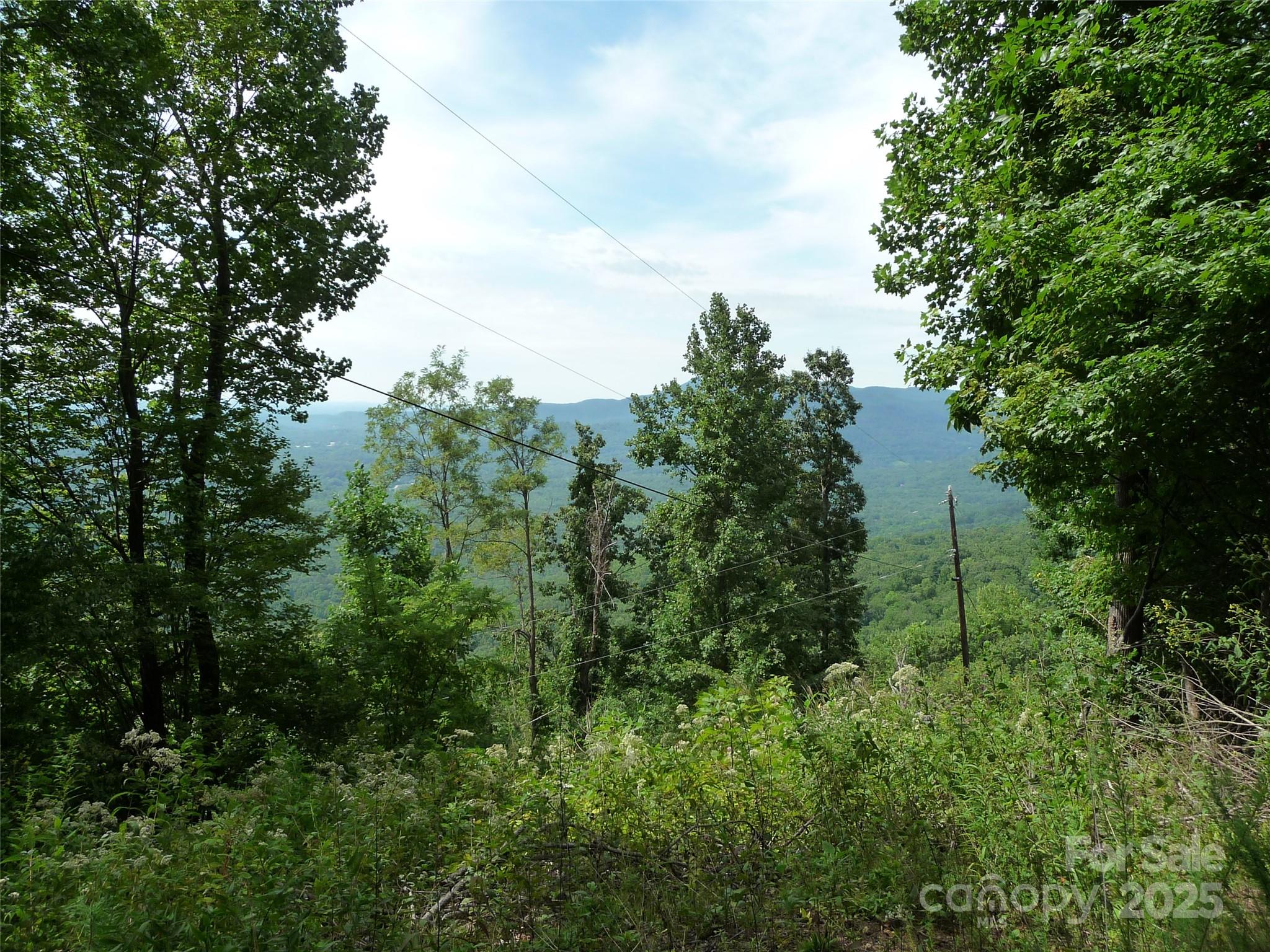 999 Skyuka Mountain Road, Unit LOT 9 Columbus, NC 28722 - Photo 4 of 7 a view of a green field with lots of bushes