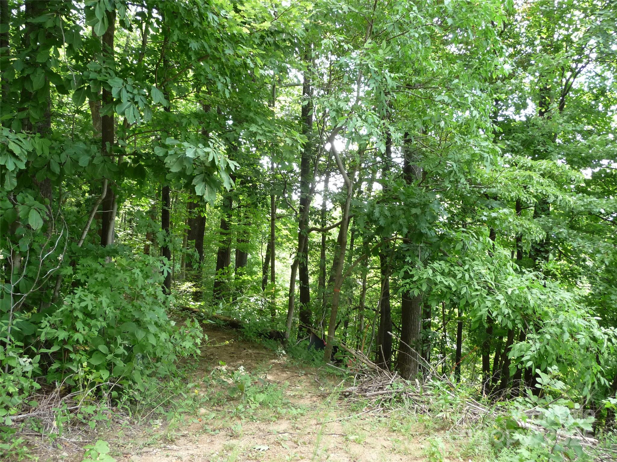 999 Skyuka Mountain Road, Unit LOT 9 Columbus, NC 28722 - Photo 5 of 7 a view of outdoor space and trees all around