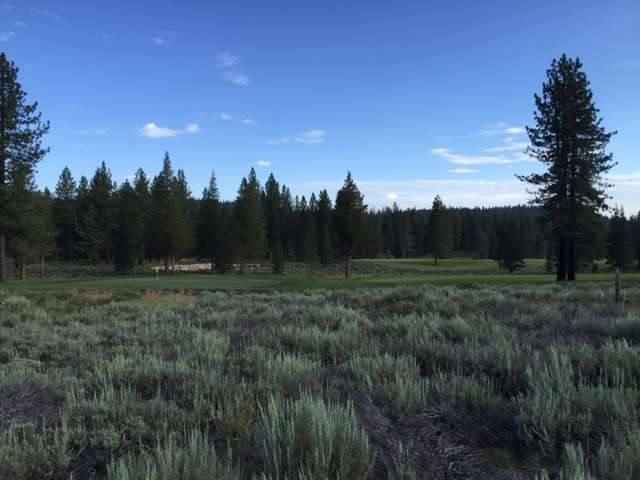 11615 Henness Road Truckee, CA 96161 - Photo 6 of 13 Gallery Image 6