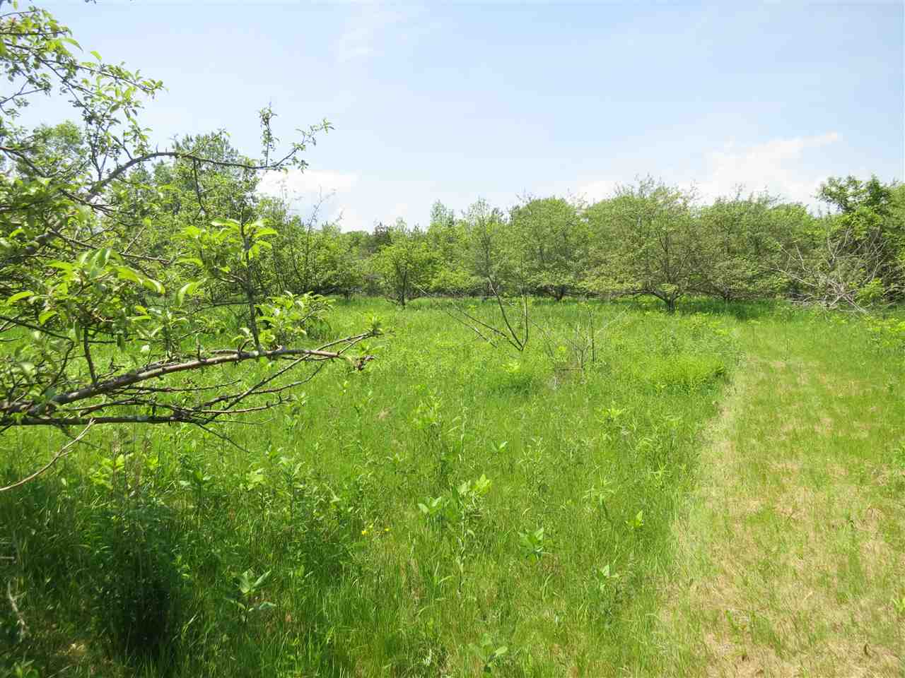 83 Adams School Road, Unit LOT 1 Grand Isle, VT 05458 - Photo 11 of 13 Gallery Image 11