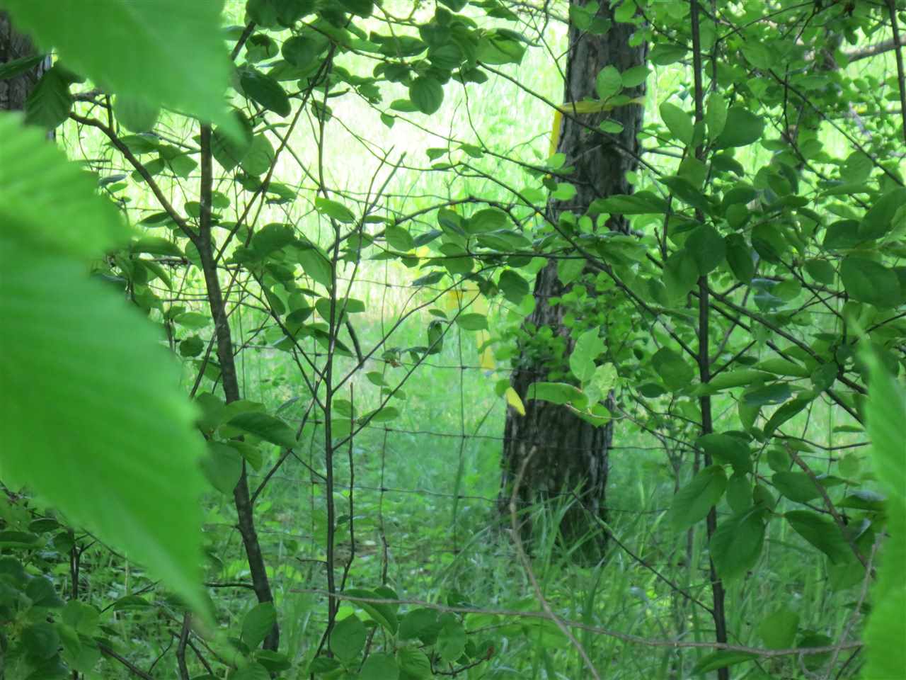 83 Adams School Road, Unit LOT 1 Grand Isle, VT 05458 - Photo 13 of 13 Gallery Image 13