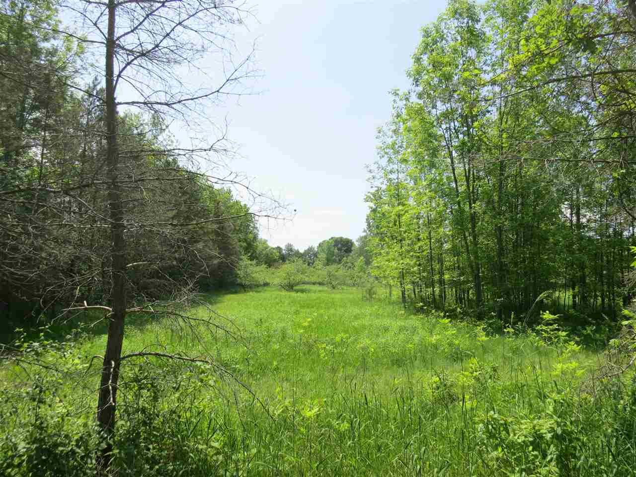 83 Adams School Road, Unit LOT 1 Grand Isle, VT 05458 - Photo 4 of 13 Gallery Image 4