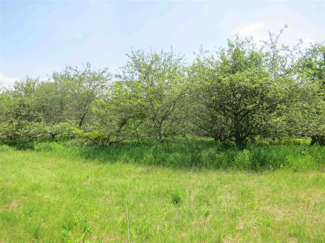 83 Adams School Road, Unit LOT 1 Grand Isle, VT 05458 - Photo 6 of 13 Gallery Image 6