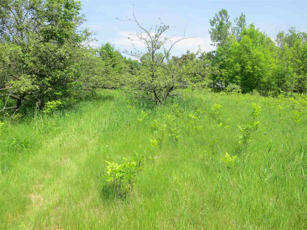 83 Adams School Road, Unit LOT 1 Grand Isle, VT 05458 - Photo 8 of 13 Gallery Image 8