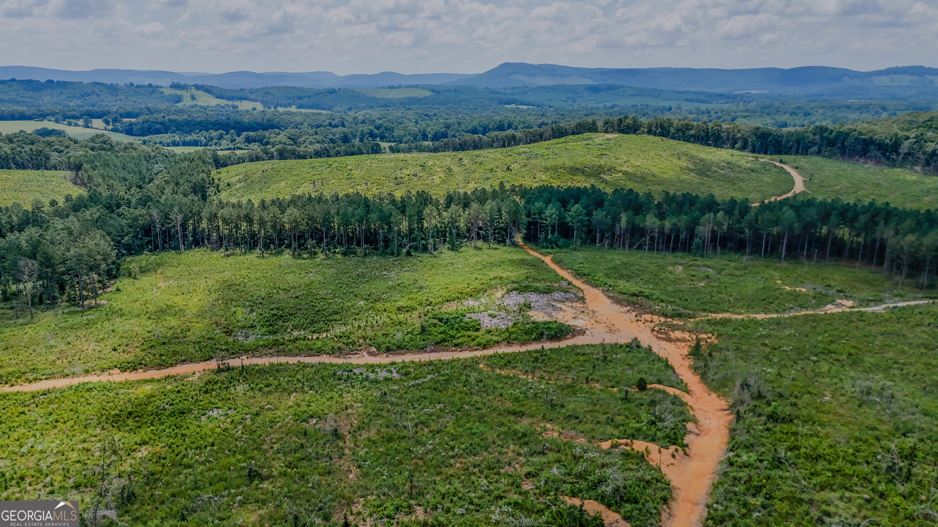 8 Back Valley Road Lyerly, GA 30730 - Photo 6 of 17 an aerial view of green landscape with trees