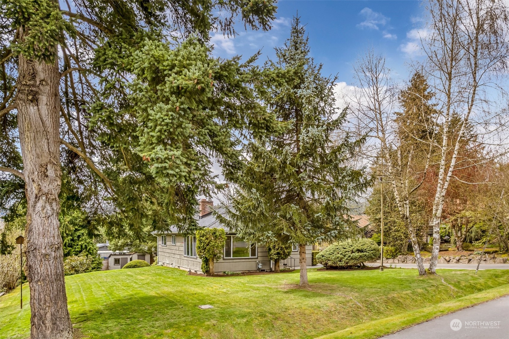 24324 7th Avenue West Bothell, WA 98021 - Photo 5 of 40 a view of yard with tree s